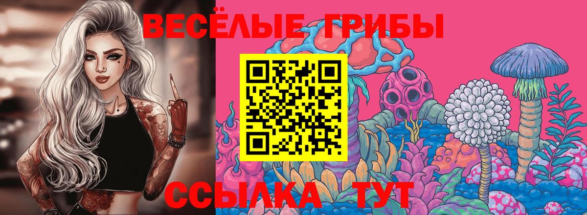 Галлюциногенные грибы Psilocybine cubensis  Вход с VPN  закладка  Галлюциногенные грибы Magic Shrooms  Вольск 